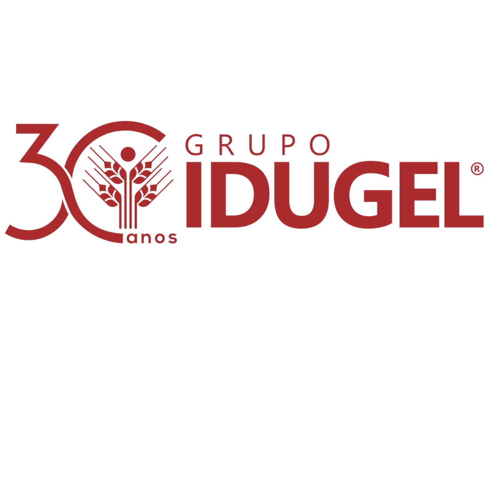 Grupo Idugel